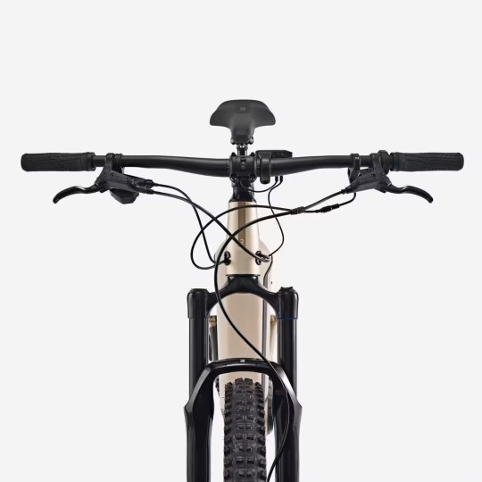 Vélo VTT électrique Randonnée E-EXPL 520 S Sable - 29" - 500 Wh