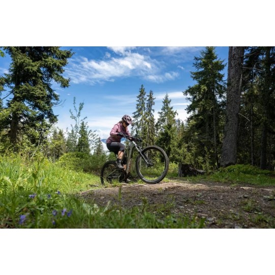 Vélo VTT électrique tout suspendu 29" - E-EXPL 500 S Gris métal