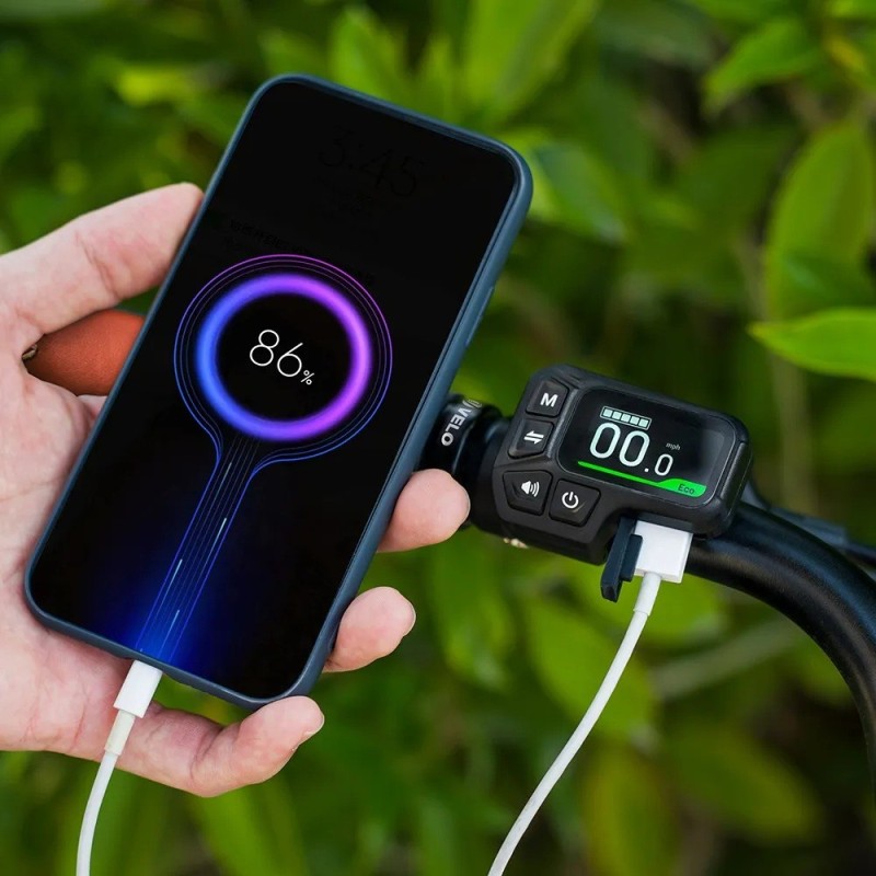 Fiido C11 Pro Vélo Électrique Léger Urbain