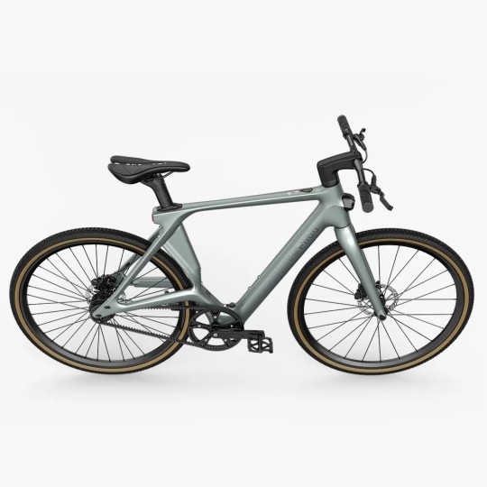 Fiido Air Vélo Électrique Ultraléger en Fibre de Carbon