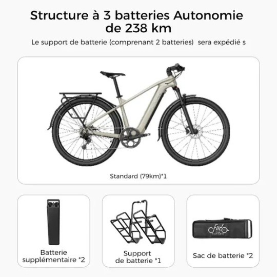 Fiido Nomads Vélo de randonnée électrique