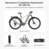 Fiido Nomads Vélo de randonnée électrique