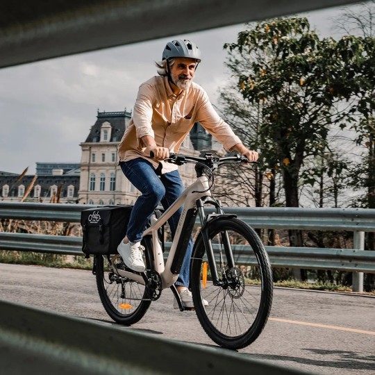 Fiido Nomads Vélo de randonnée électrique