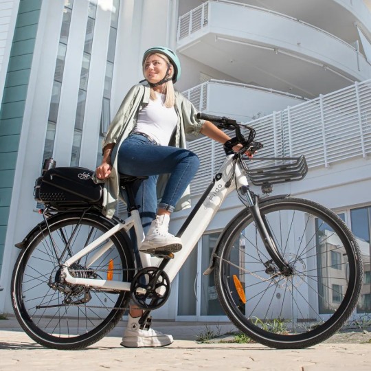 Fiido C11 Vélo Électrique Léger Urbain