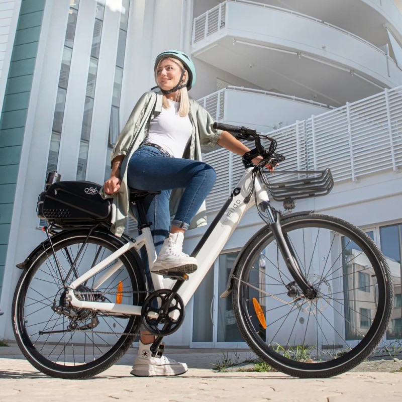 Fiido C11 Vélo Électrique Léger Urbain