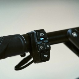 Trottinette Électrique Dualtron Aminia : Rapide et Polyvalente