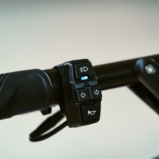 Trottinette Électrique Dualtron Aminia : Rapide et Polyvalente