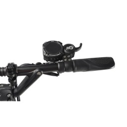 Trottinette Électrique Dualtron Aminia : Rapide et Polyvalente