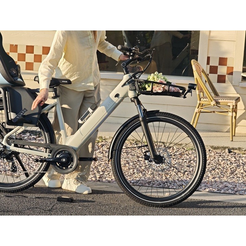 Vélo electrique moins chers livré rapidement chez vous