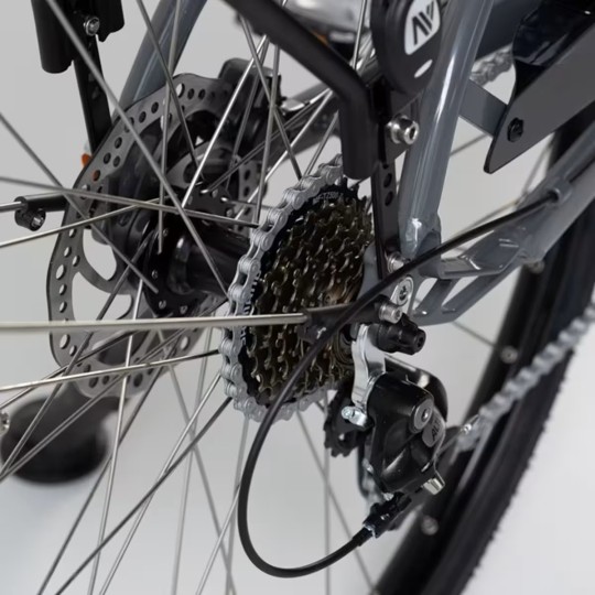 Vélo ville électrique - NEOMOUV Allegria 2 Hydraulique - Gris foncé