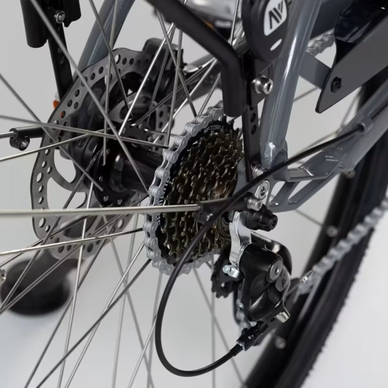 Vélo ville électrique - NEOMOUV Allegria 2 Hydraulique - Gris foncé