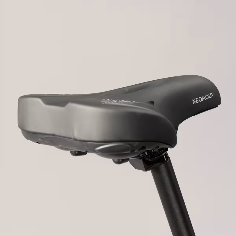 Vélo ville électrique - NEOMOUV Allegria 2 Hydraulique - Gris foncé